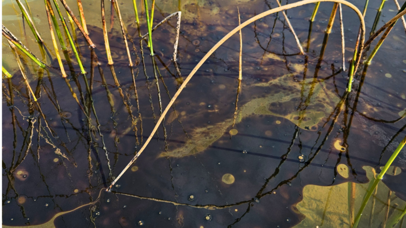 LSSU-led Study Documents more than 6,400 Oil Spills across the Great Lakes over a decade